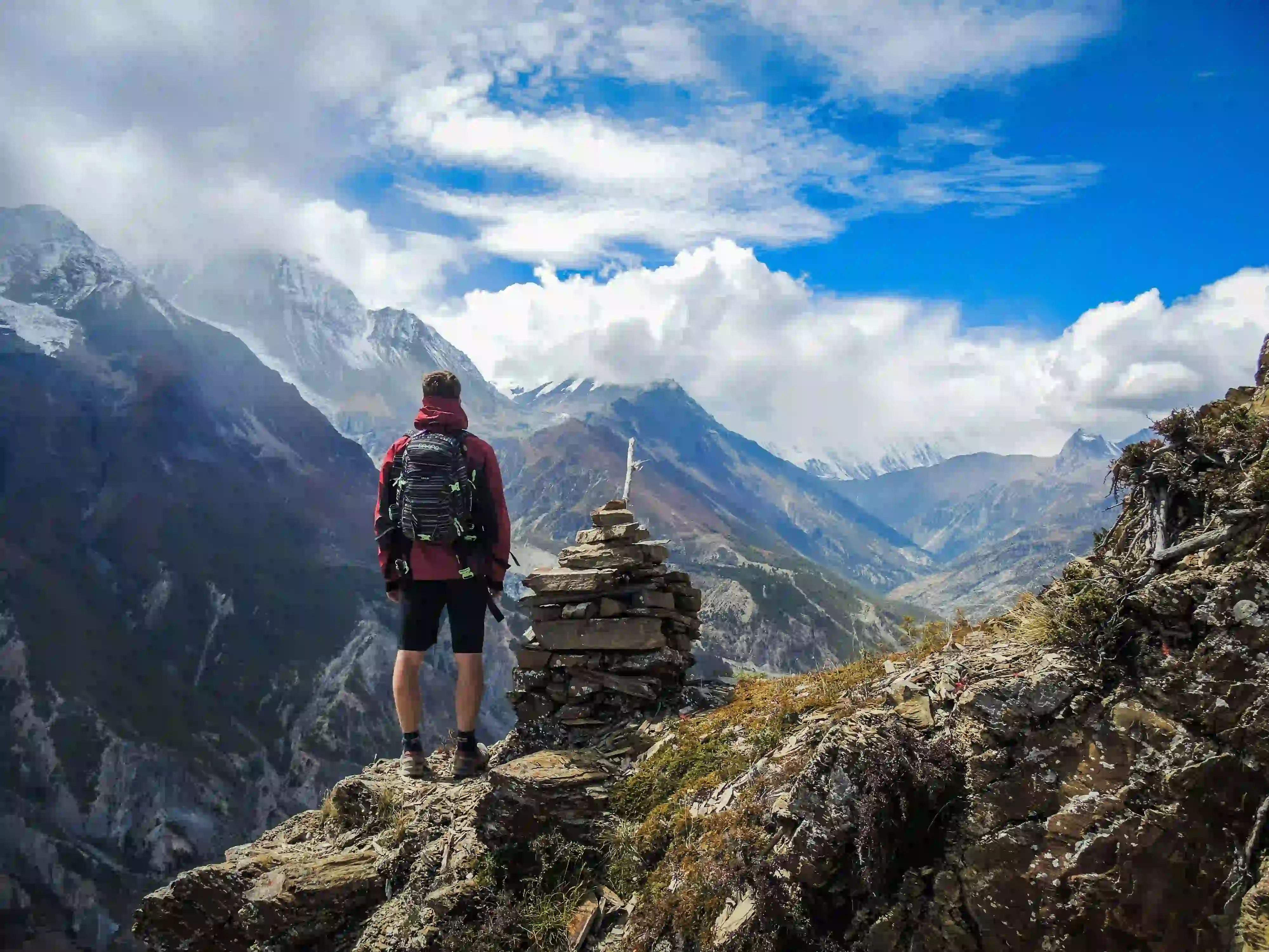 Swiss · Alpine Meadows